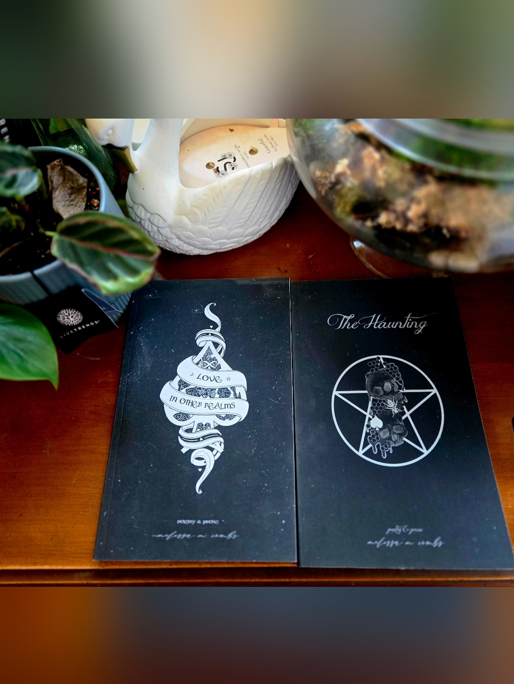 Love In Other Realms And The Haunting Poetry Books By Melissa M. Combs